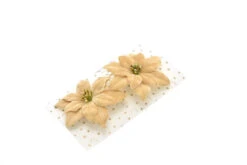 Stella Natale Champagne Con Clip 2 Pezzi