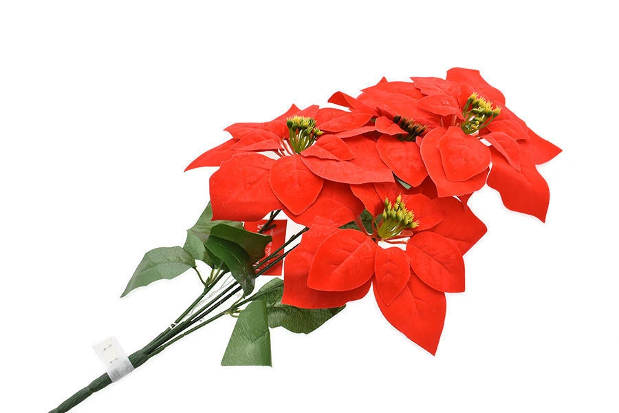 Mazzetto Di Stelle Di Natale Rosse - immagine 2