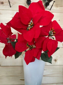 Mazzetto Di Stelle Di Natale Rosse